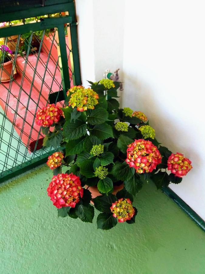 Apartman Kristin Подаца Екстер'єр фото